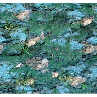 Background - green rock - WC2400